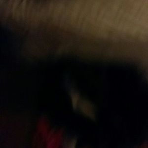 Meet your Posher, Brendan